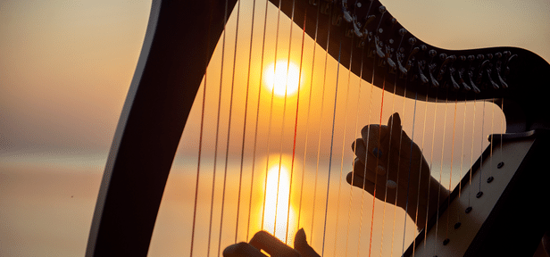 Closeup hands of girl plays on a Celtic harp by the sea at sunset